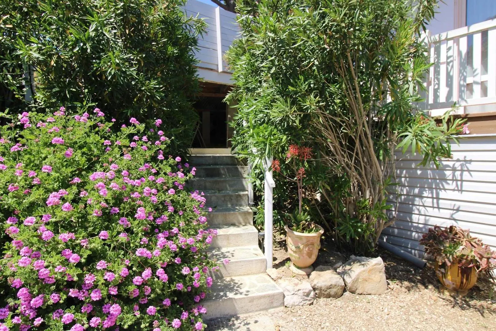 Gasmim41 - Golfe De St-Tropez - Chalet 3 Chambres Climatise Dans Domaine Prive Gassin 0*,  France